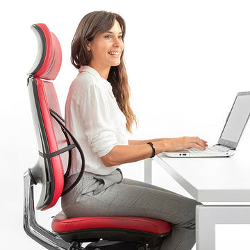 Portable Breathable Lumbar Support